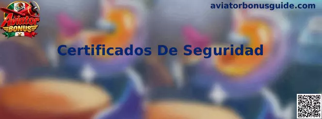 Guía para revisar certificados de seguridad, HTTPS y protección de navegación