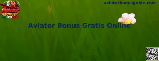 Vista informativa relacionada con Aviator Bonus Gratis Online
