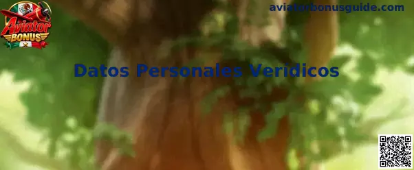Validación de Datos Personales Verídicos en Aviator Bonus
